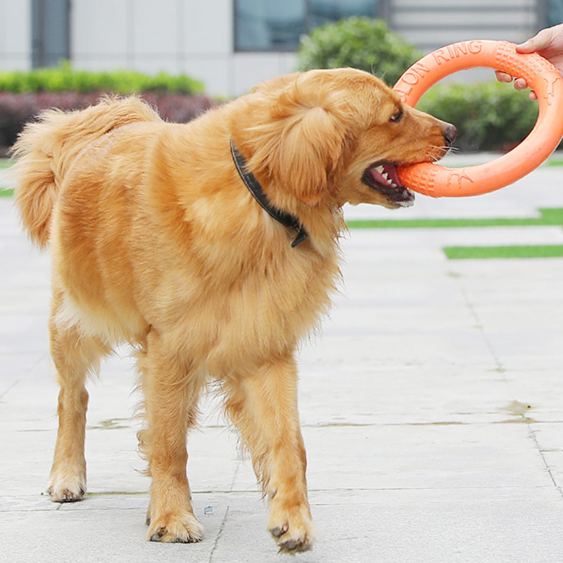 1pc Orange Dog Toys Pet Flying - огляд і ціна Flying Disc Dog Training Toy