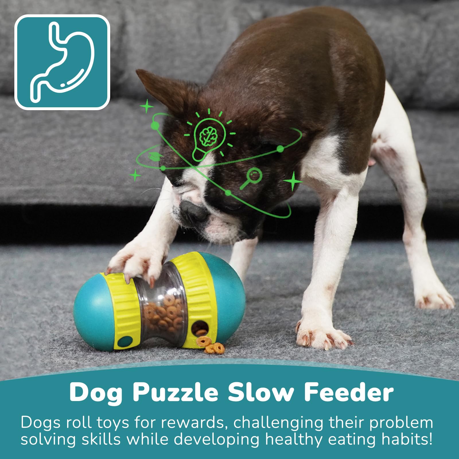 Dog Toys & Adjustable Slow Fee - огляд і ціна Dog Puzzle Feeder Toy