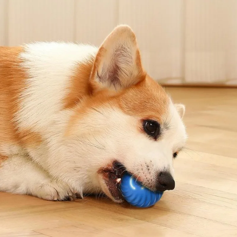 SS Pet Toy Ball Automatic Movi - огляд і ціна Automatic Moving Dog Ball