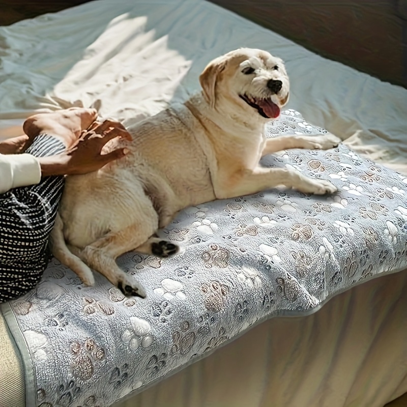 Comfortable Pet Towel Soft War - огляд і ціна Pet Beds