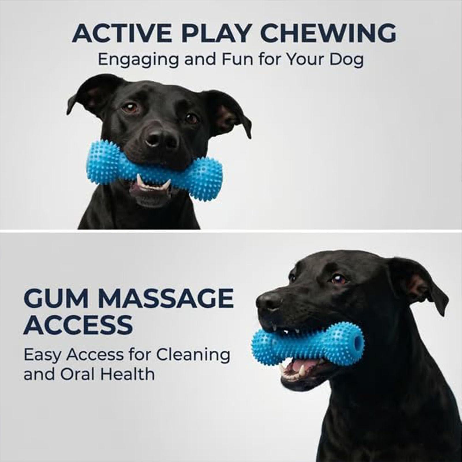 Dog Toothbrushing Toys Chewer  - огляд і ціна Interactive Squeaky Plush Dog Toy