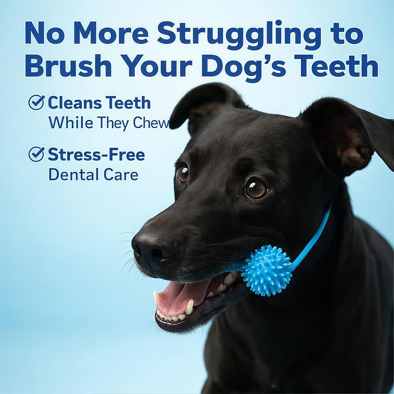 Dog Toothbrushing Toys Chewer  - огляд і ціна Interactive Squeaky Plush Dog Toy