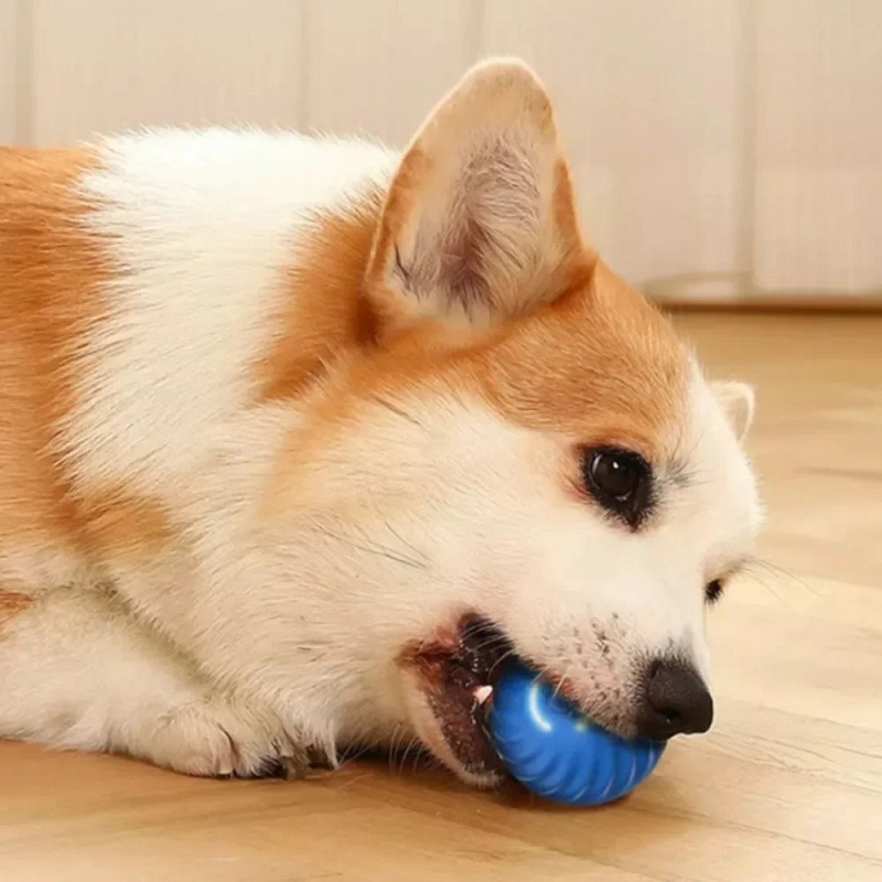 Dog Toy Ball Automatic Moving  - огляд і ціна Suction Cup Dog Tug Toy