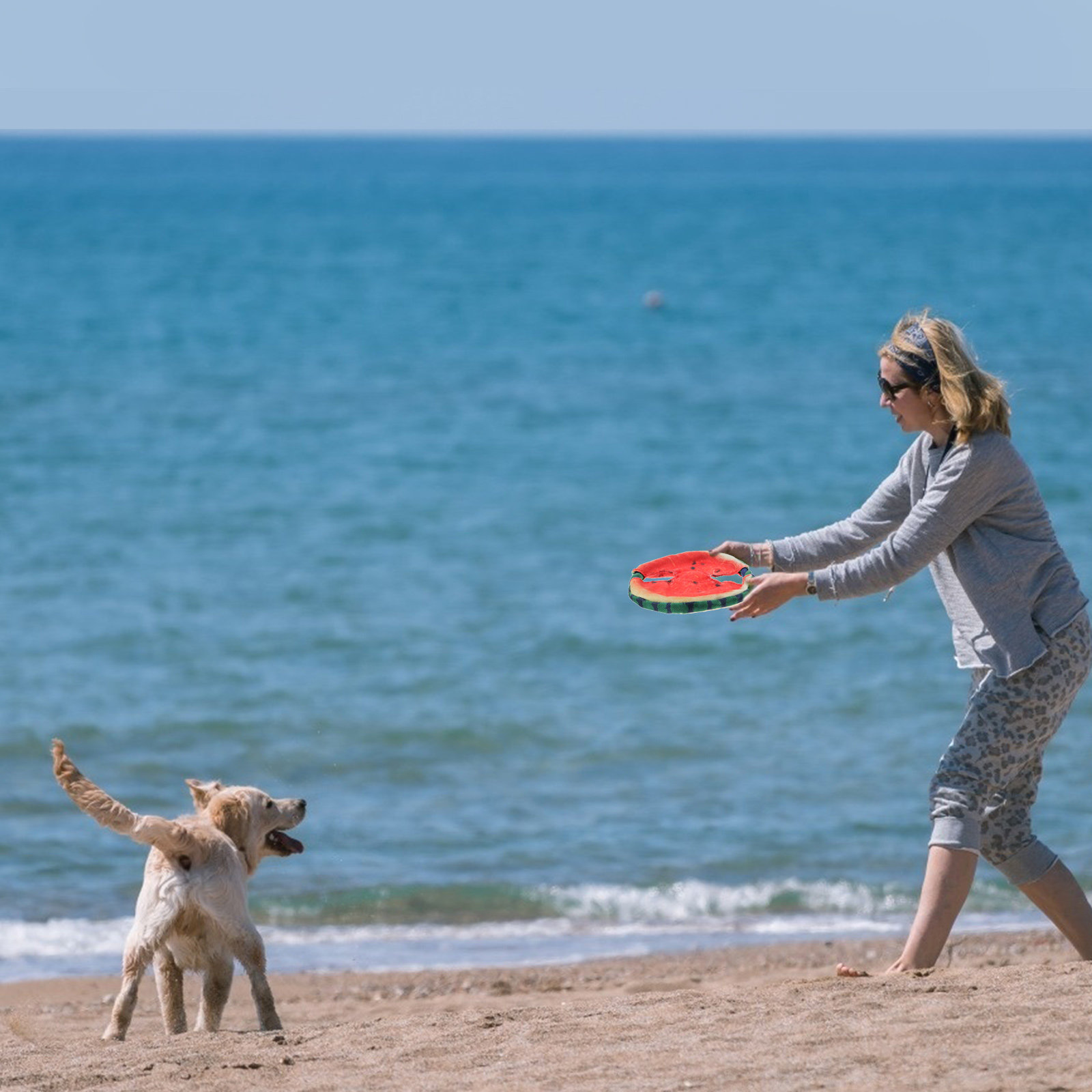 1Pcs Pet Simulated Watermelon  - огляд і ціна Flying Disc Dog Training Toy
