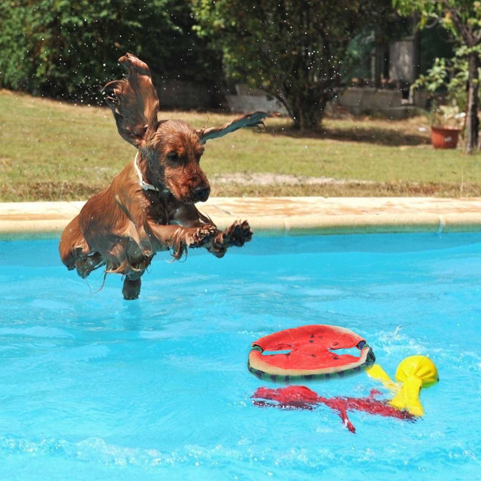 1Pcs Pet Simulated Watermelon  - огляд і ціна Flying Disc Dog Training Toy