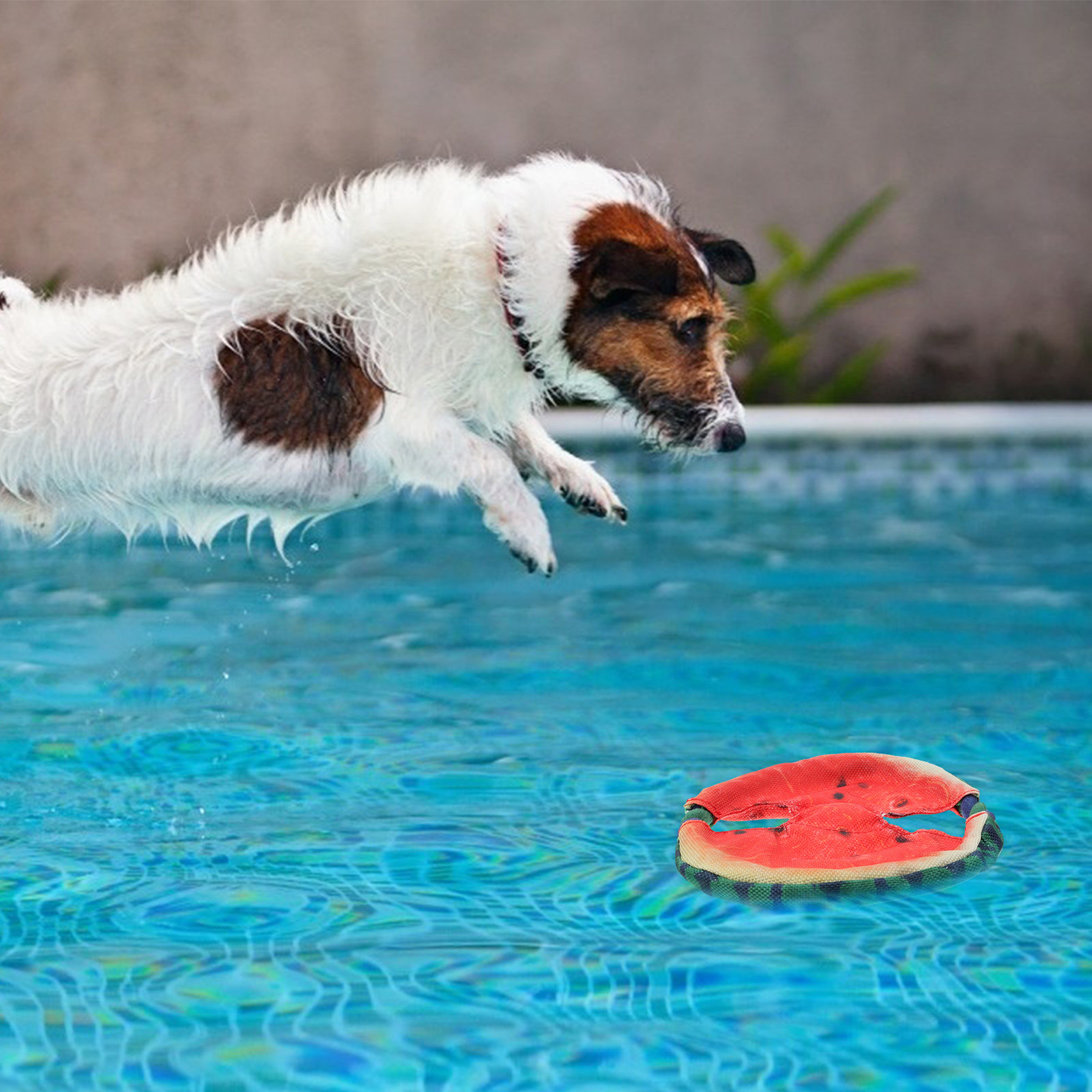 1Pcs Pet Simulated Watermelon  - огляд і ціна Flying Disc Dog Training Toy