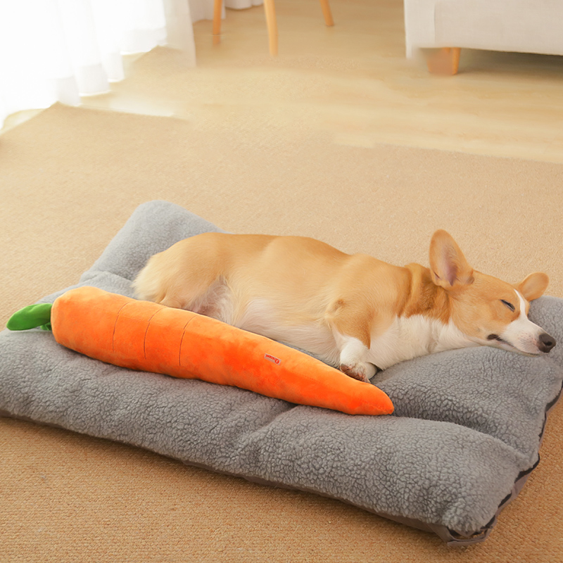 HOOPET Dog Toy Pet Carrot Plus - огляд і ціна Indestructible Dog Chew Toy