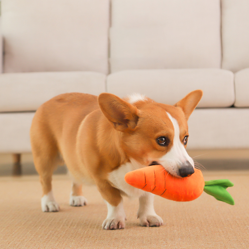 HOOPET Dog Toy Pet Carrot Plus - огляд і ціна Indestructible Dog Chew Toy