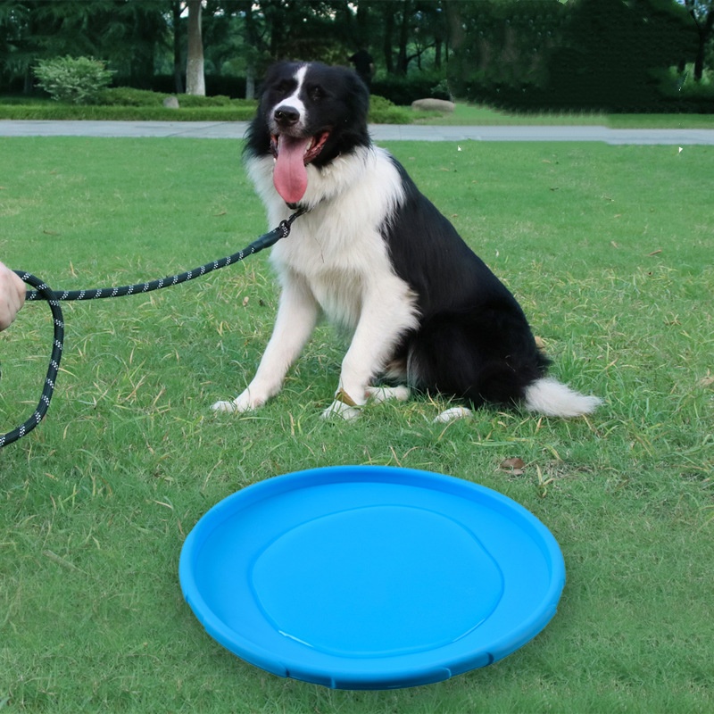 Interactive Silicone Flying Sa - огляд і ціна Flying Disc Dog Training Toy