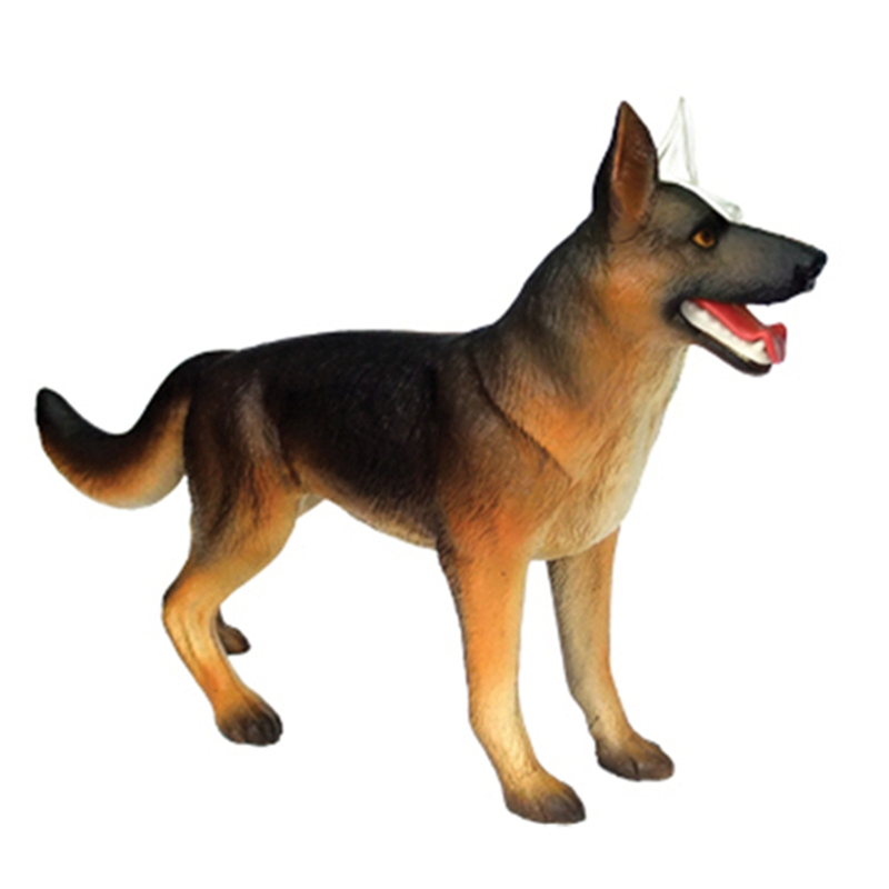 Animal Organ Anatomy Model 4D  - огляд і ціна Dog Toys