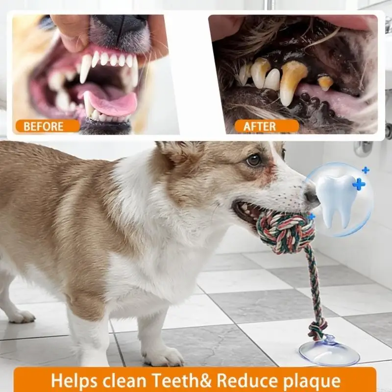 Interactive Dog Chewing Toy Tu - огляд і ціна Suction Cup Dog Tug Toy