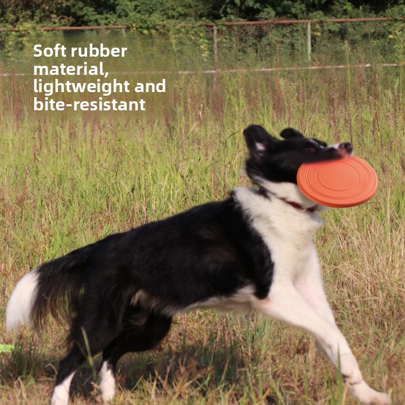 Bite Resistant Floating Soft P - огляд і ціна Flying Disc Dog Training Toy