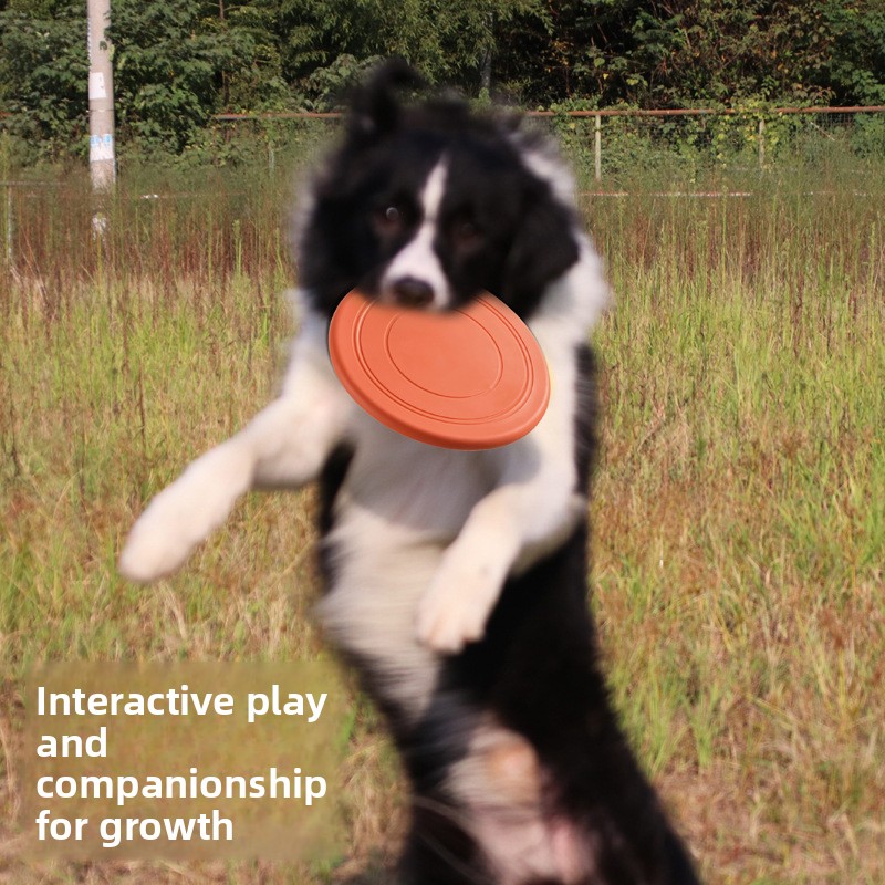 Bite Resistant Floating Soft P - огляд і ціна Flying Disc Dog Training Toy