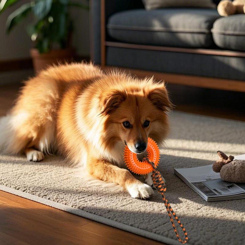 Squeaky Toys For Dogs Spiky Ri - огляд і ціна Dog Rope Toy Aggressive Chewers