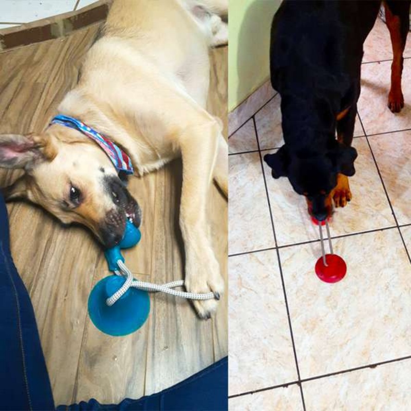 Durable Suction Cup Dog Tug To - огляд і ціна Suction Cup Dog Tug Toy
