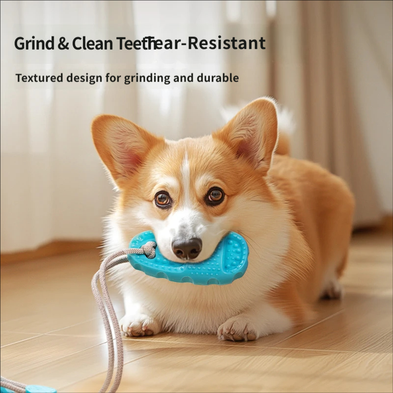 Suction Cup Dog Tug Toy Intera - огляд і ціна Suction Cup Dog Tug Toy